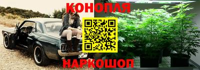 метамфетамин Аргун