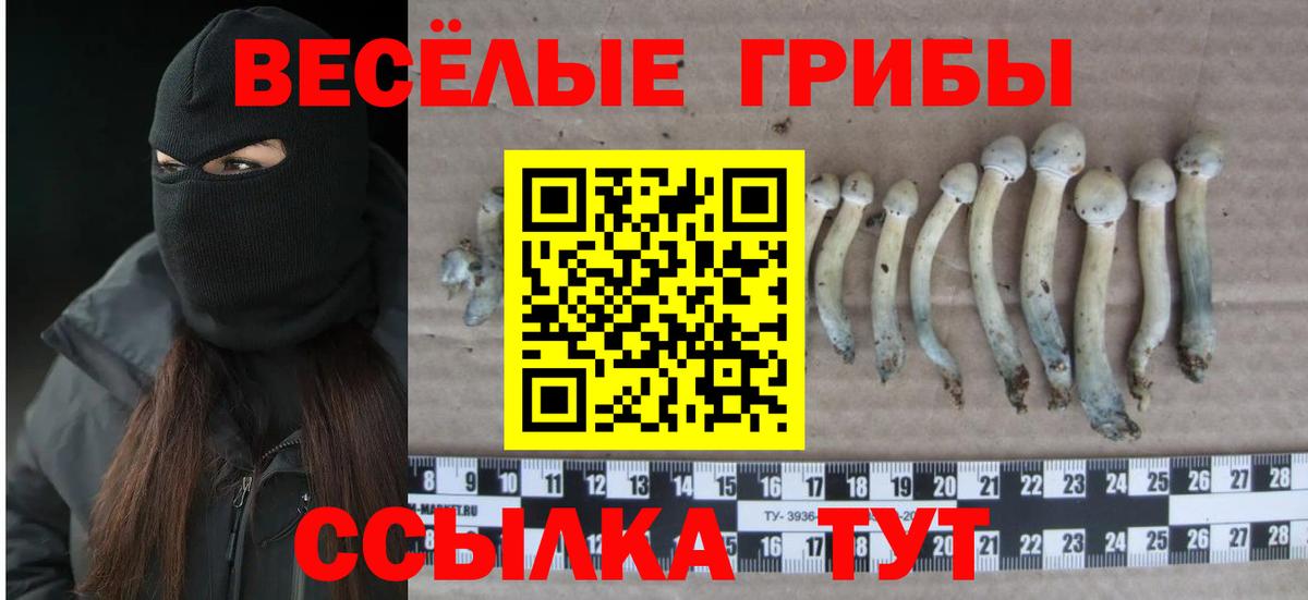 Верхний Уфалей  где купить наркоту  Вход с VPN  Галлюциногенные грибы прущие грибы 